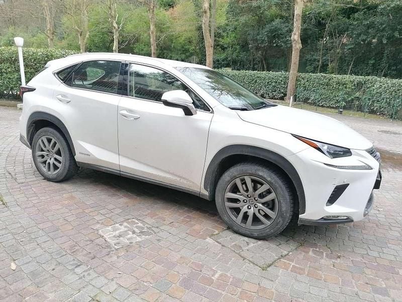Usata Lexus NX300h Executive Line 155 CV (114 kW) 2020 Bianco SUV