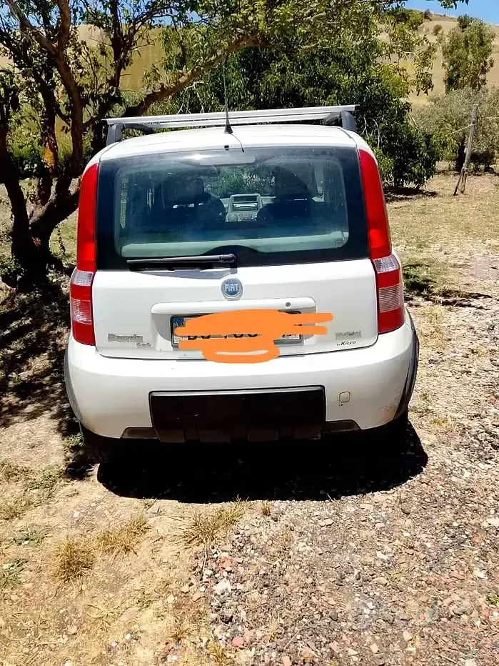 Usata Fiat Panda 4x4 69 CV (50 kW) 2006 Bianco Utilitaria