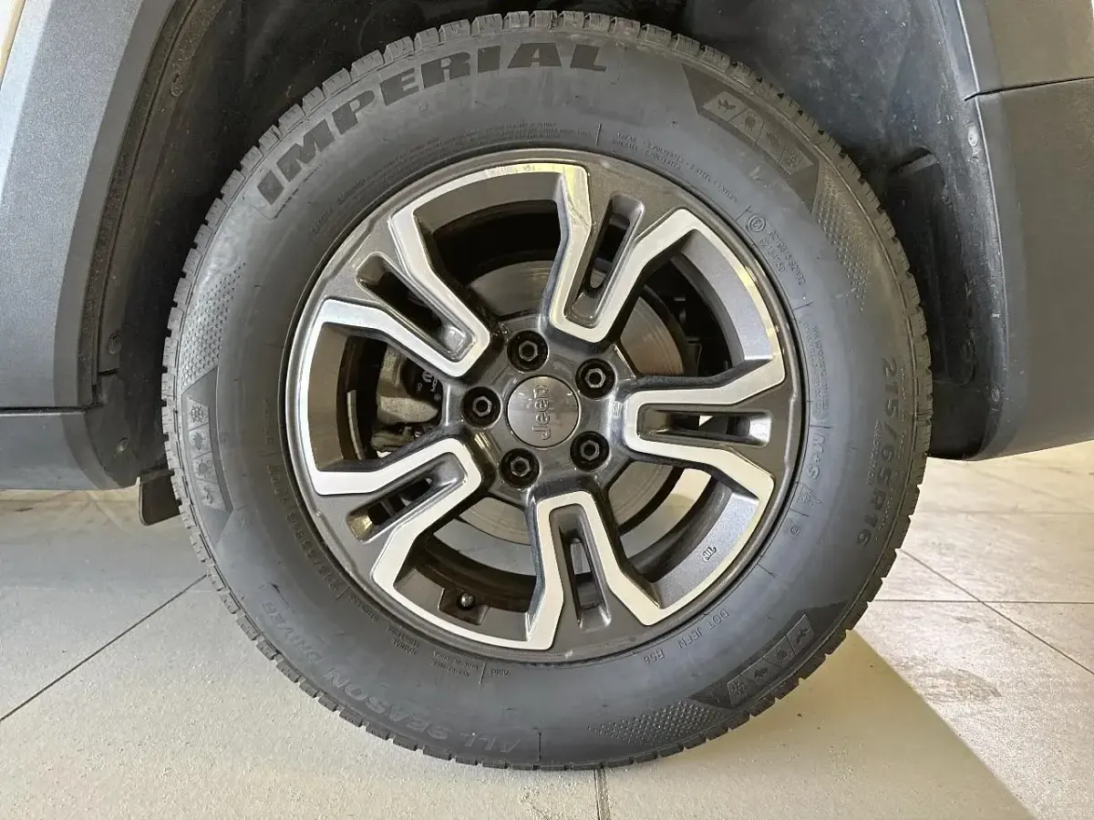 Usata Jeep Renegade 120 CV (88 kW) 2019 Grigio SUV