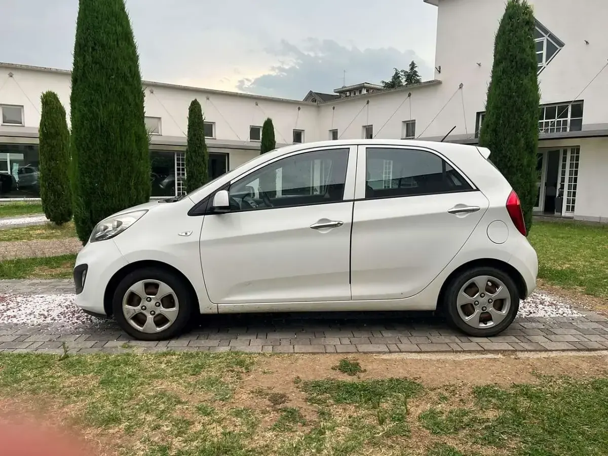 Usata Kia Picanto 67 CV (49 kW) 2014 Bianca Utilitaria