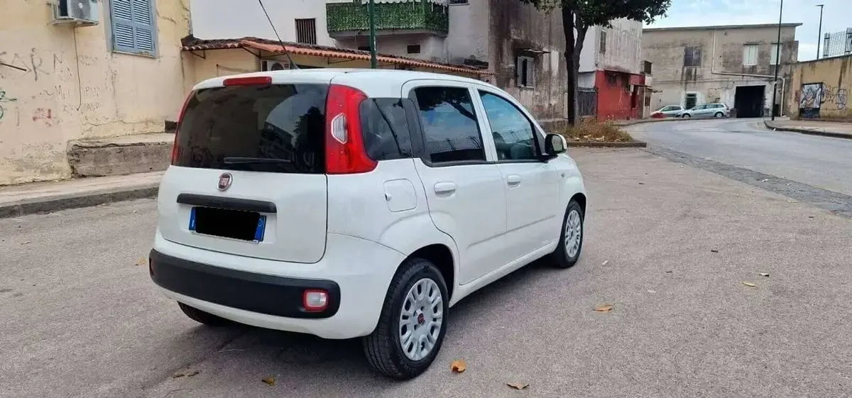Usata Fiat Panda 4x4 69 CV (50 kW) 2010 Bianco Utilitaria