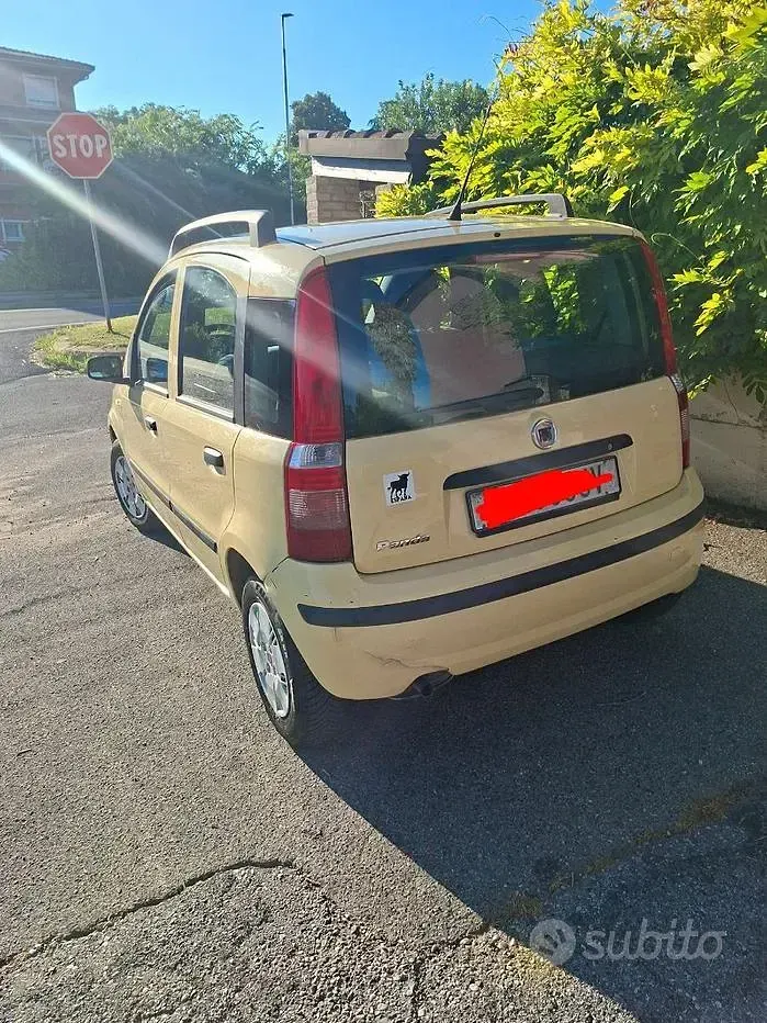 Usata Fiat Panda Dynamic 60 CV (44 kW) 2007 Giallo Utilitaria