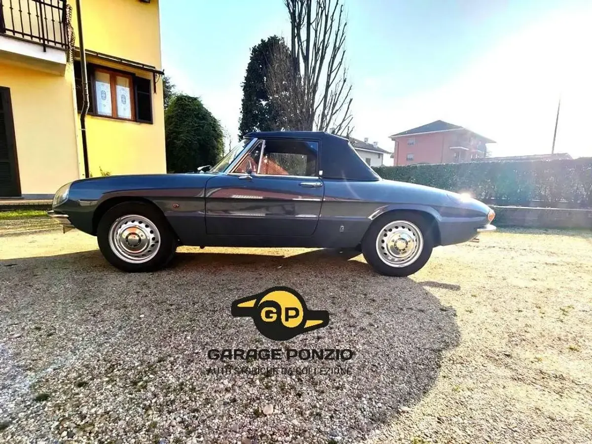 Usata Alfa Romeo Spider 109 CV (80 kW) 1966 Grigio Cabrio