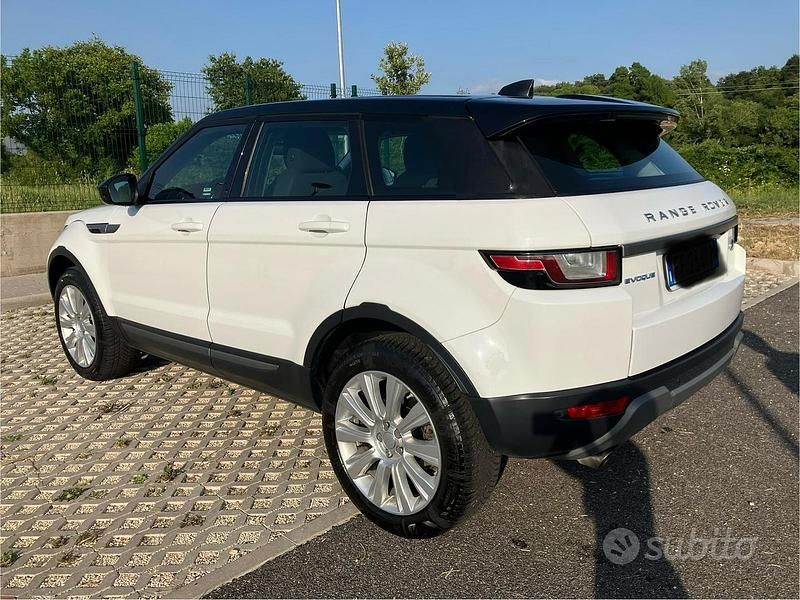 Usata Land Rover Range Rover evoque SE Dynamic 150 CV (110 kW) 2017 Bianco SUV