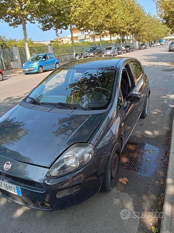 Usata Fiat Punto Evo 75 CV (55 kW) 2015 Grigio Utilitaria