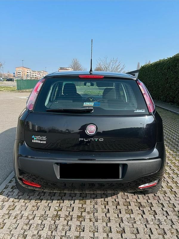 Usata Fiat Punto Evo 78 CV (57 kW) 2011 Nero Utilitaria