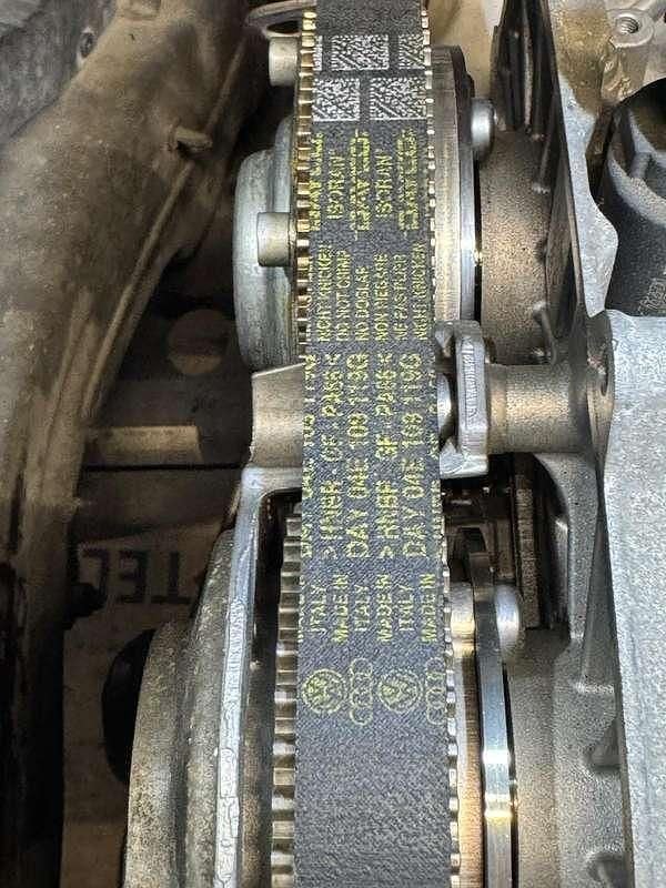 Usata Seat Leon Business 131 CV (96 kW) 2019 Berlina