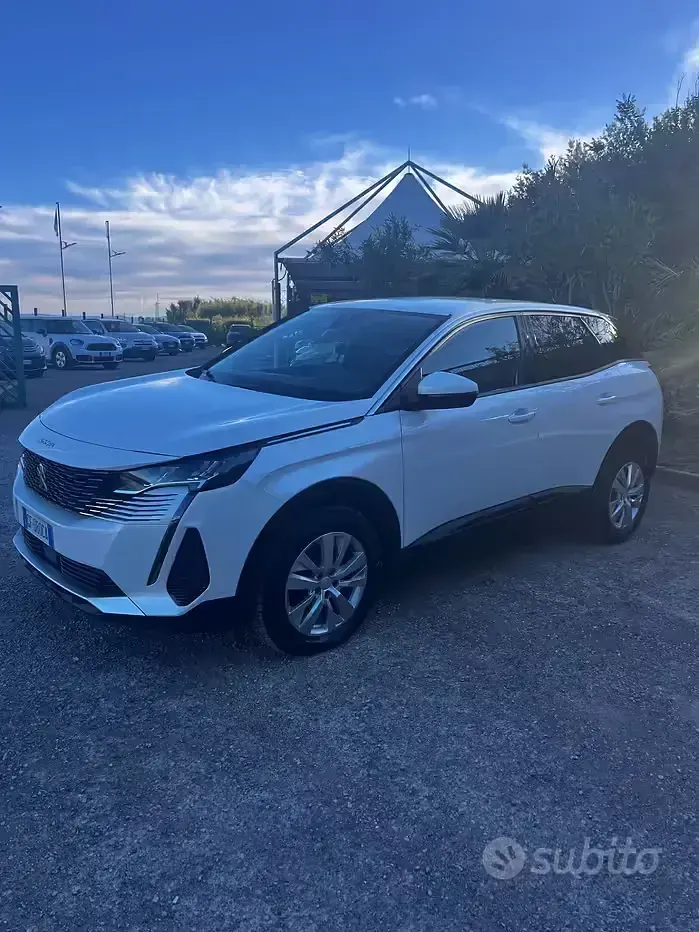 Usata Peugeot 3008 Business-Line 131 CV (96 kW) 2021 Bianco SUV
