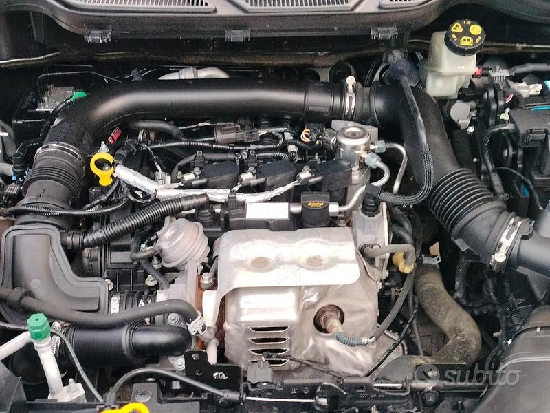 Usata Ford Ecosport 100 CV (73 kW) 2020 Bianco SUV