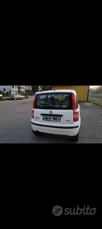Usata Fiat Panda 2009 Bianco Utilitaria