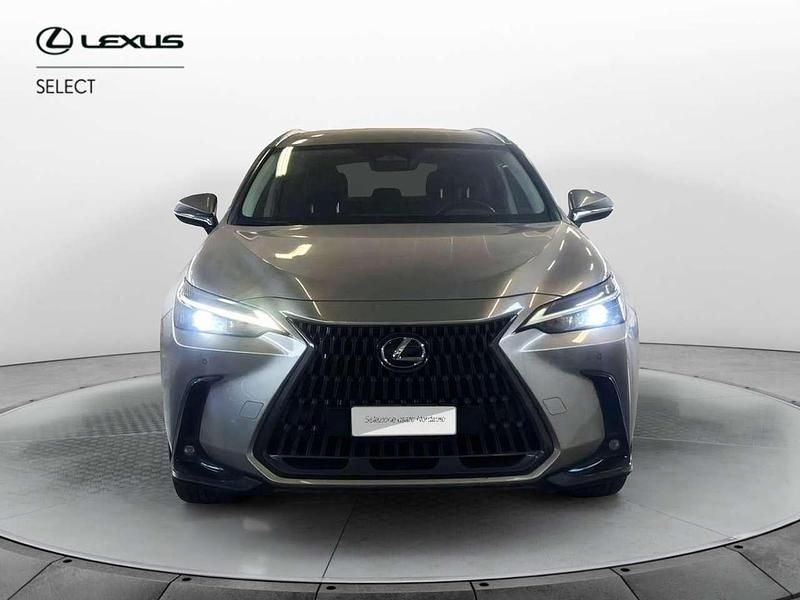 Usata Lexus NX300 309 CV (227 kW) 2023 Grigio SUV