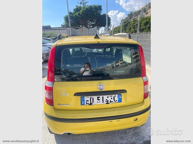 Usata Fiat Panda Dynamic 59 CV (43 kW) 2010 Giallo Utilitaria