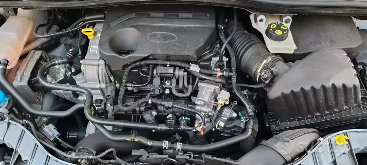 Usata Ford C-MAX S 101 CV (74 kW) 2018 Bianco Monovolume