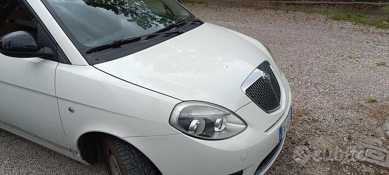 Usata Lancia Ypsilon 69 CV (50 kW) 2012 Bianco Utilitaria