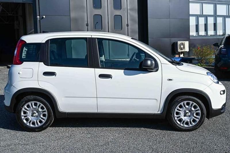 Nuova Fiat Panda Icon 69 CV (50 kW) 2025 Bianco Utilitaria