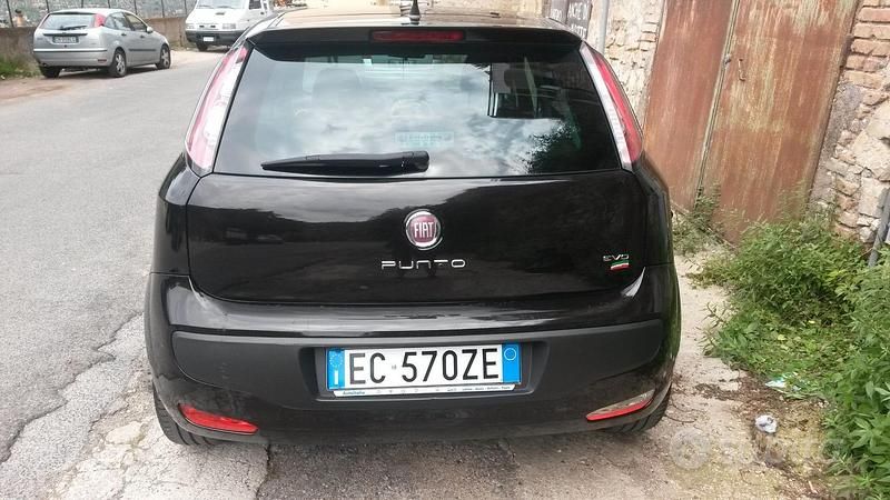Usata Fiat Punto 75 CV (55 kW) 2010 Utilitaria