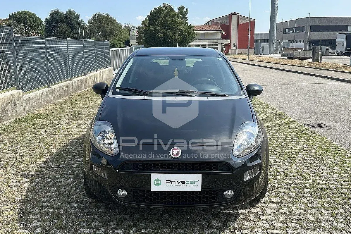 Usata Fiat Punto Lounge 69 CV (50 kW) 2016 Nero Utilitaria