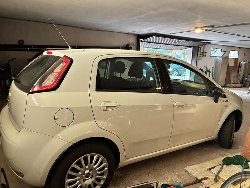 Usata Fiat Punto Young 2015 Bianco Berlina