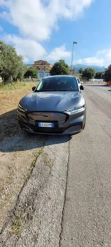 Usata Ford Mustang Mach-E Standard Range 100 kW (136 CV) 2023 SUV