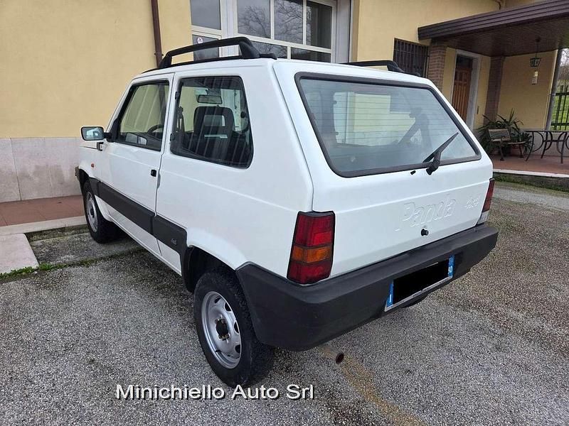 Usata Fiat Panda 4x4 Trekking 54 CV (39 kW) 2003 Bianco Utilitaria
