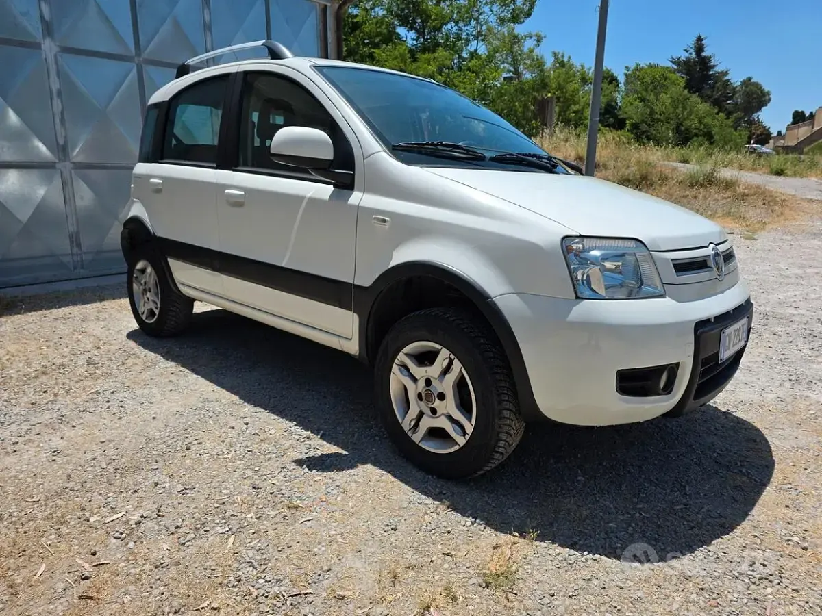 Usata Fiat Panda 4x4 Climbing 75 CV (55 kW) 2012 Bianco Utilitaria