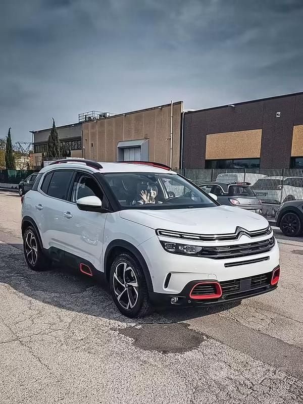 Usata Citroën C5 Shine 2019 Bianco Station wagon