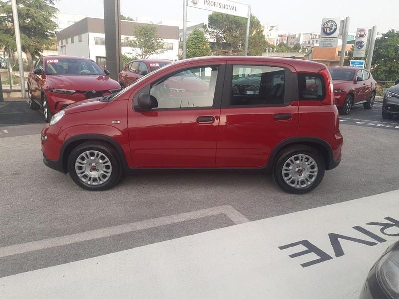 Usata Fiat Panda S 70 CV (51 kW) 2024 Rosso Utilitaria