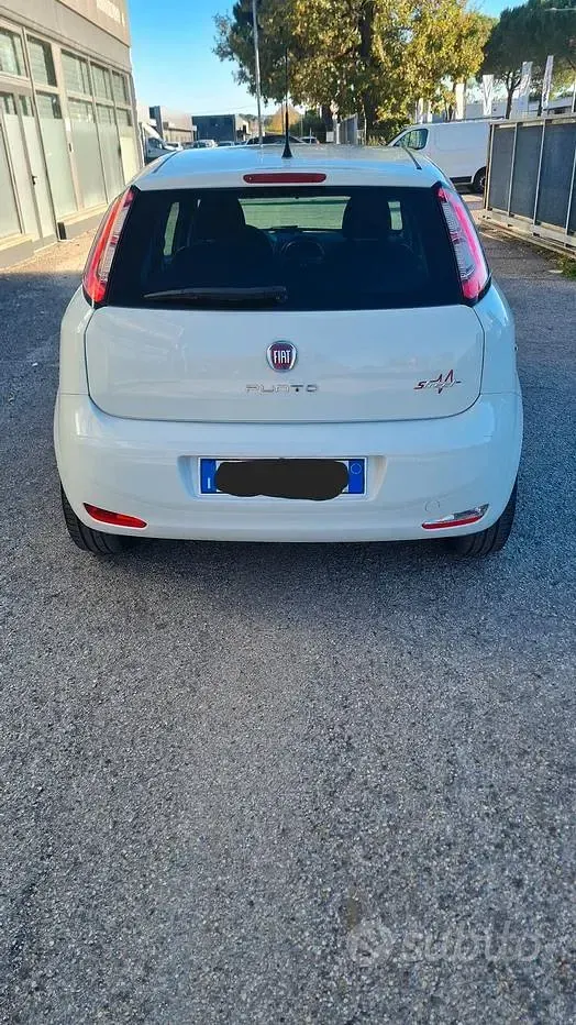 Usata Fiat Punto 2013 Bianco Utilitaria