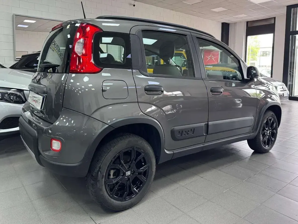 Usata Fiat Panda 4x4 Wild 84 CV (61 kW) 2022 Grigio pastello Utilitaria