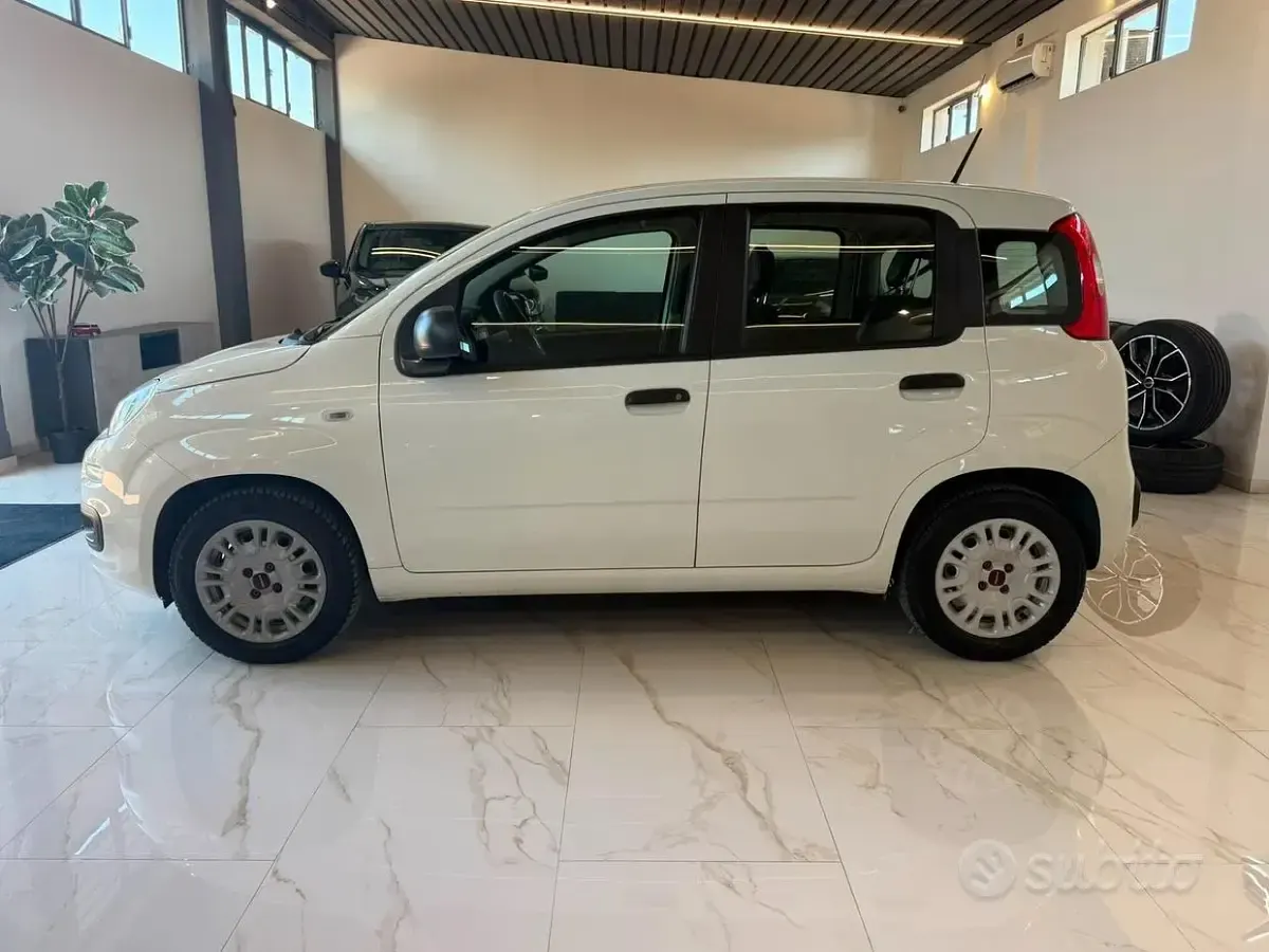 Usata Fiat Panda Lounge 69 CV (50 kW) 2021 Bianco Utilitaria