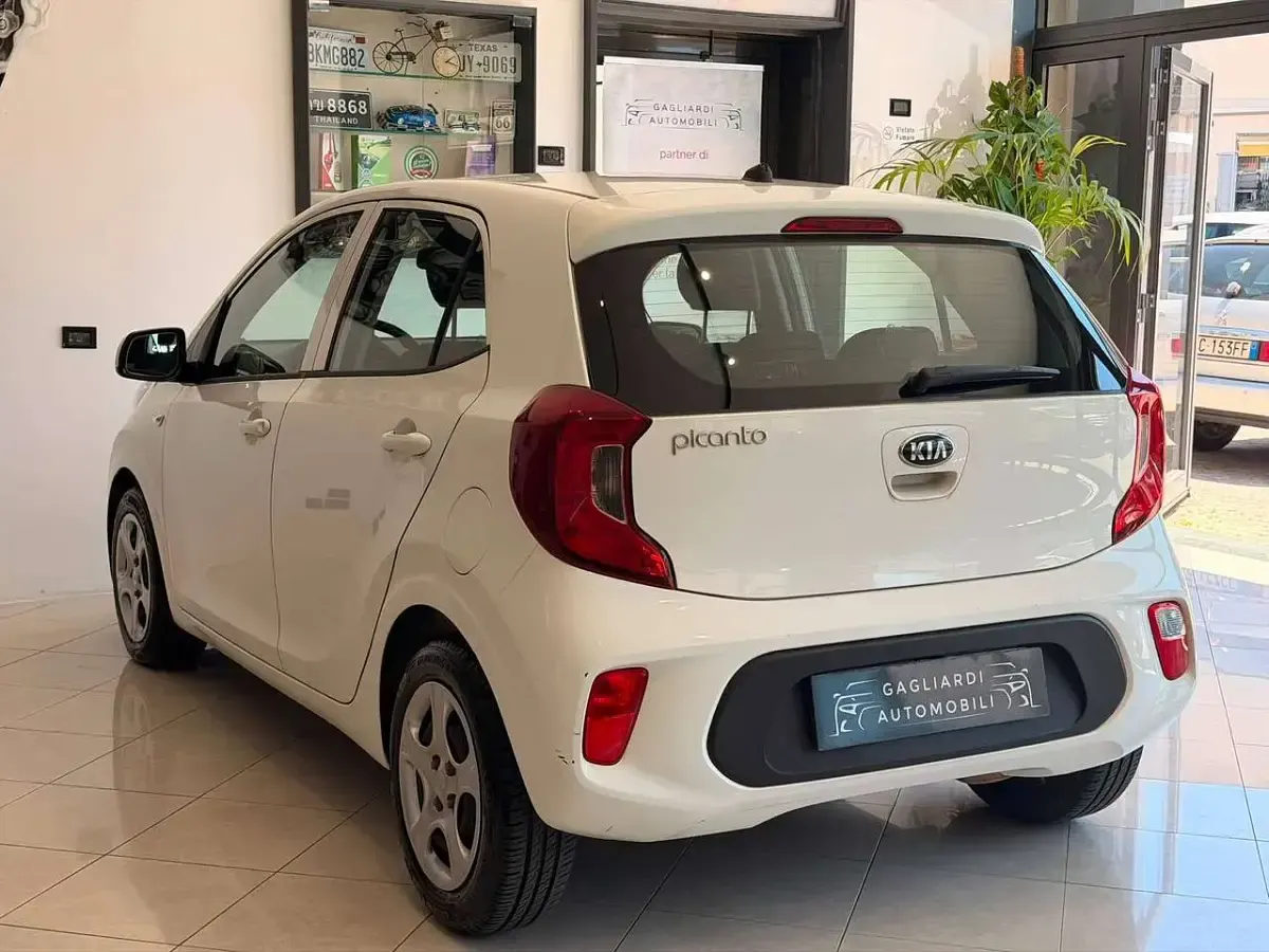 Usata Kia Picanto 67 CV (49 kW) 2017 Bianco Utilitaria