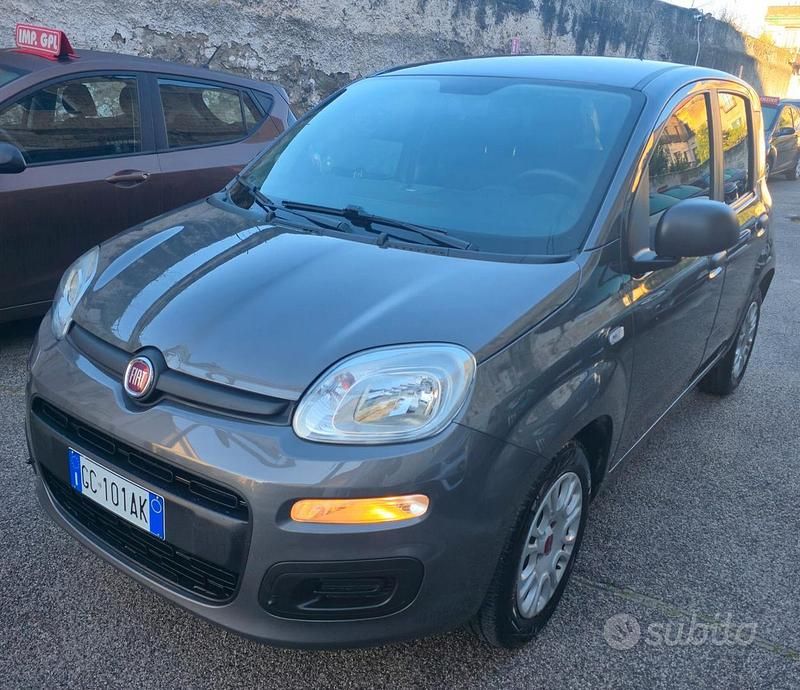 Usata Fiat Panda Easy 69 CV (50 kW) 2020 Grigio Utilitaria