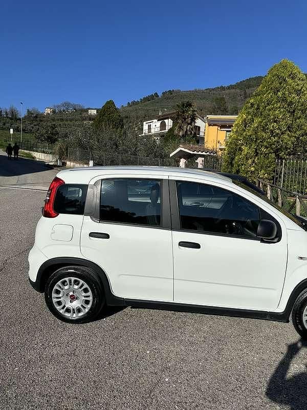Usata Fiat Panda City Life 69 CV (50 kW) 2023 Utilitaria