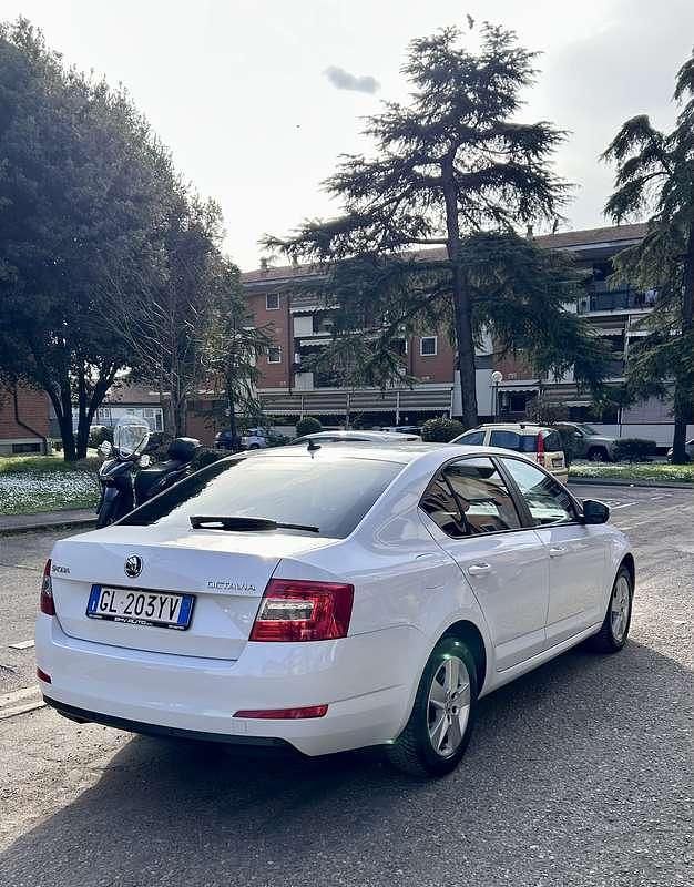 Usata Skoda Octavia Ambition 110 CV (80 kW) 2015 Utilitaria