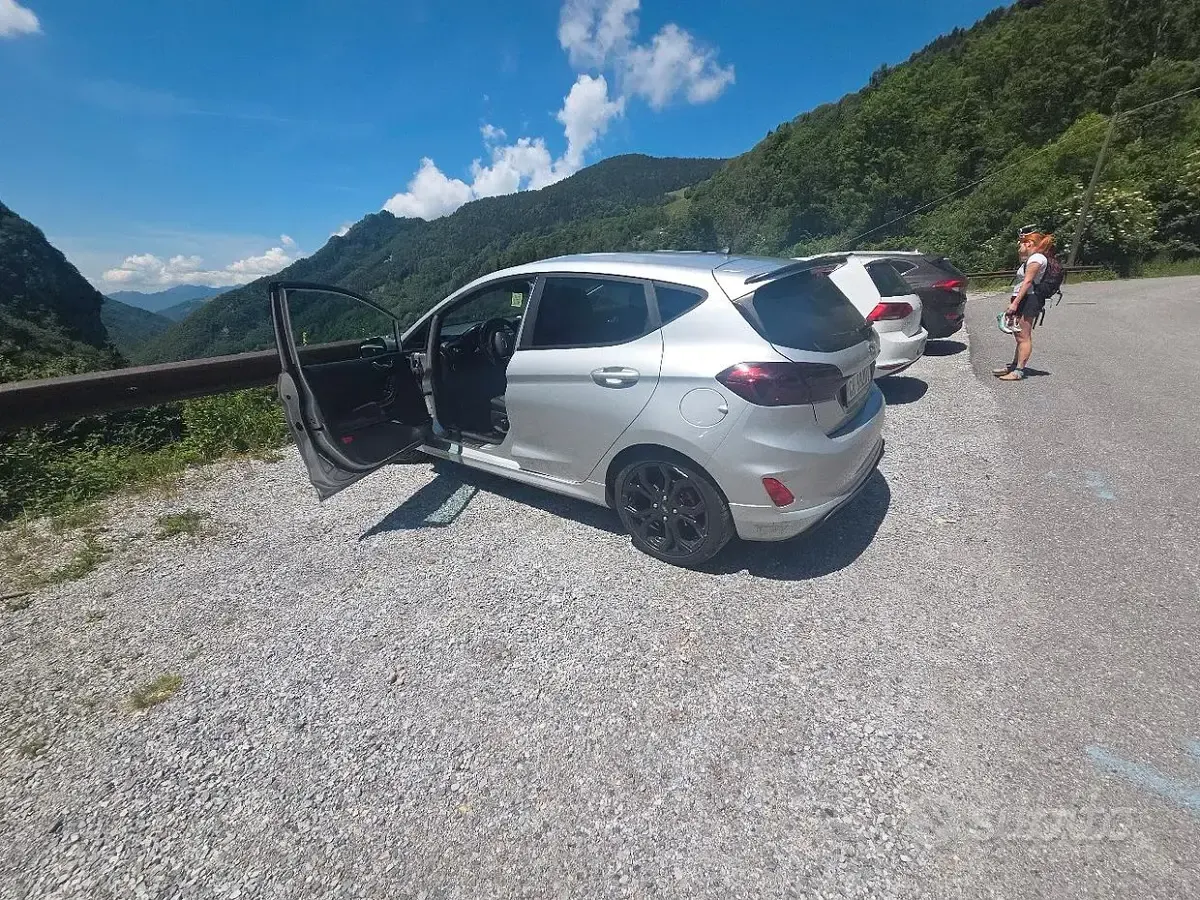 Usata Ford Fiesta ST-Line 101 CV (74 kW) 2019 Grigio Utilitaria