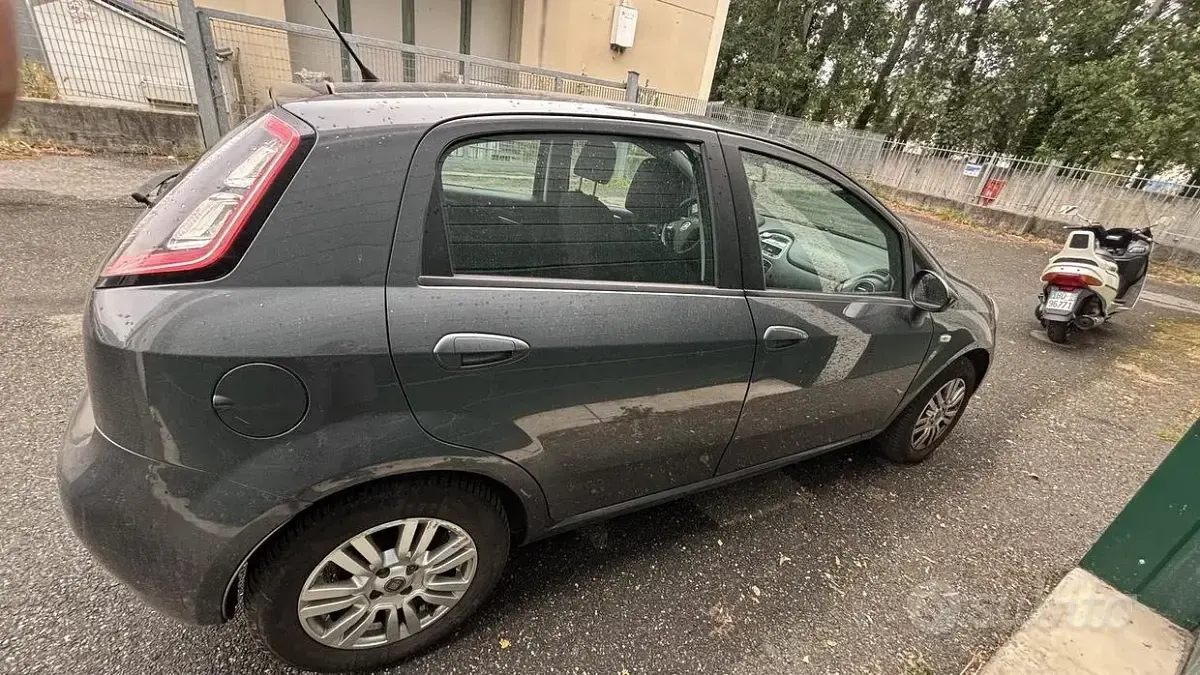 Usata Fiat Punto Evo 69 CV (50 kW) 2012 Grigio Utilitaria
