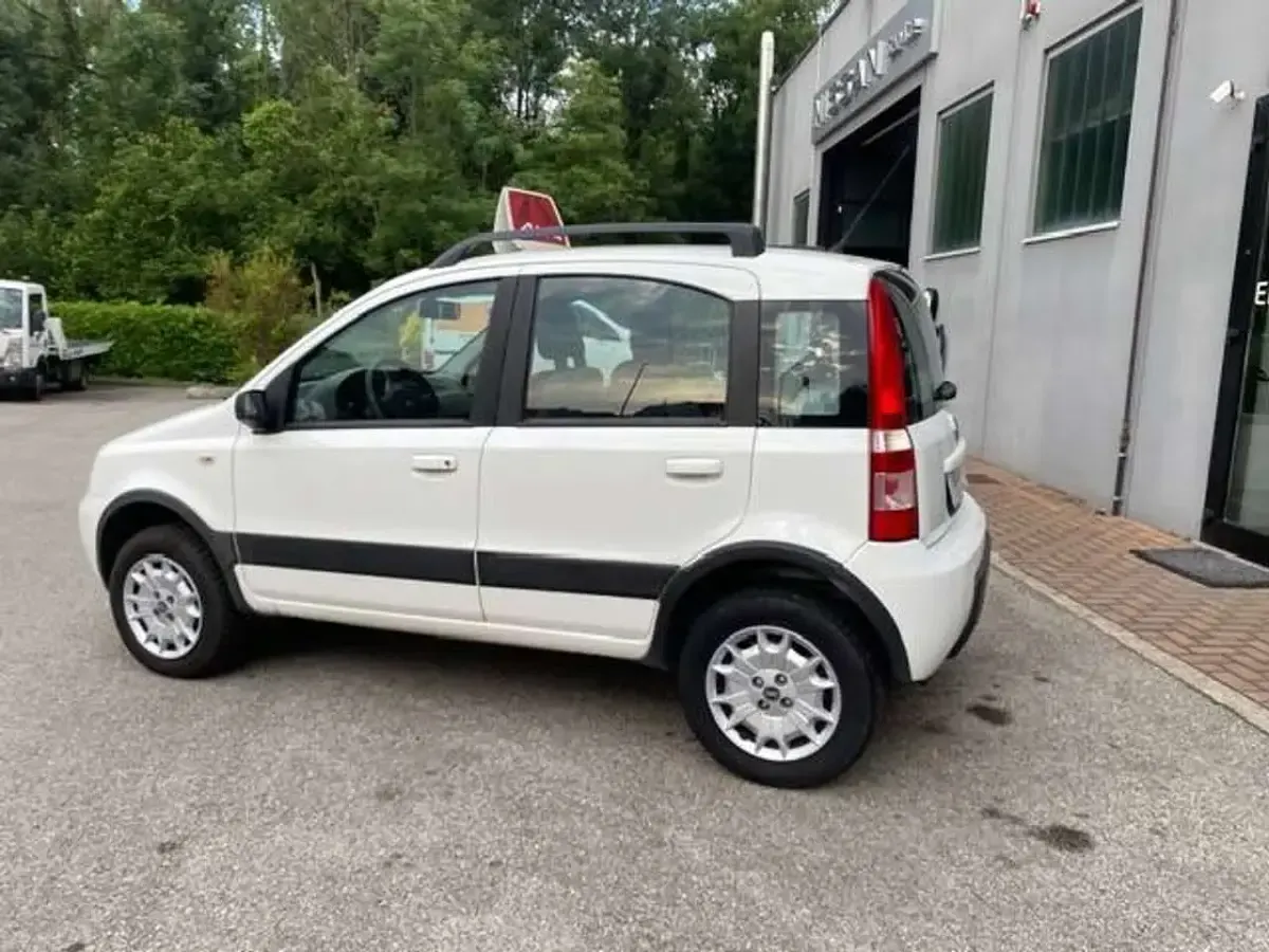 Usata Fiat Panda 4x4 Climbing 60 CV (44 kW) 2006 Bianco Utilitaria