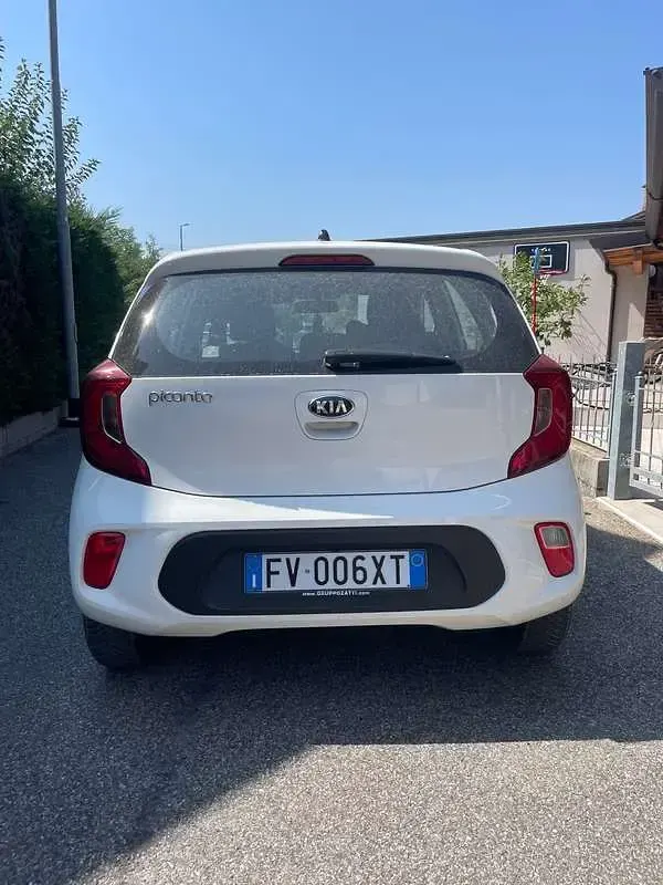 Usata Kia Picanto City 67 CV (49 kW) 2019 Bianco Utilitaria