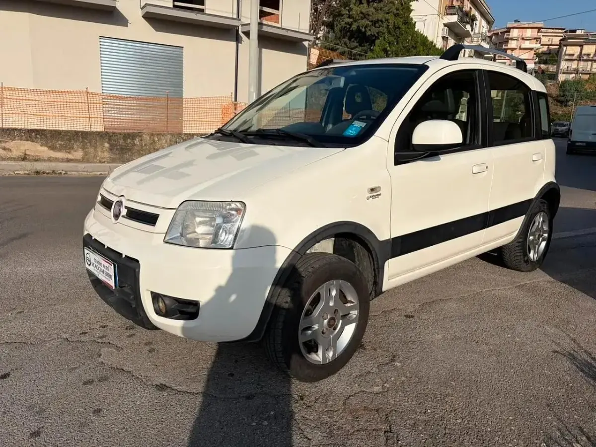 Usata Fiat Panda 4x4 Climbing 75 CV (55 kW) 2011 Utilitaria