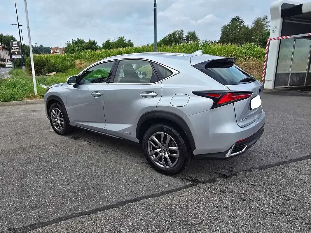 Usata Lexus NX300h Business Edition 155 CV (114 kW) 2019 Argento SUV