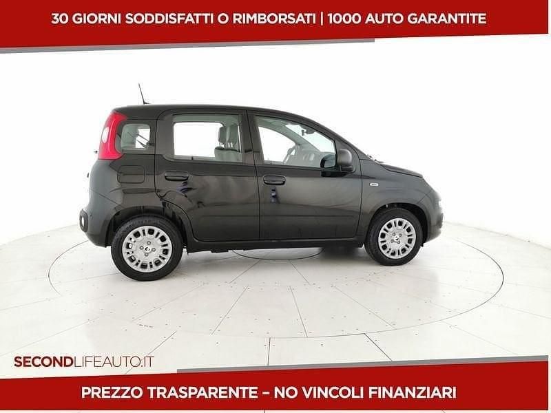 Neu Fiat Panda Icon 70 PS (51 kW) 2025 Schwarz Kleinwagen