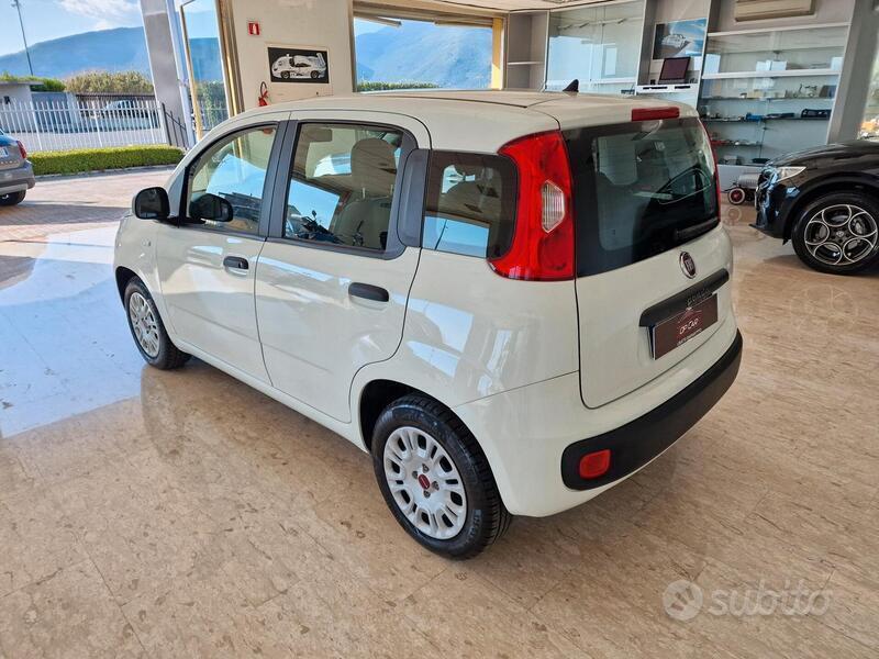 Usato 2019 Fiat Panda 1.2 Benzin (9.500 €)