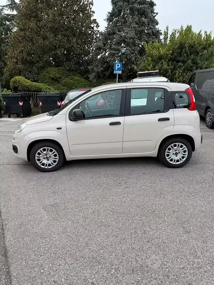 Usata Fiat Panda 69 CV (50 kW) 2017 Utilitaria