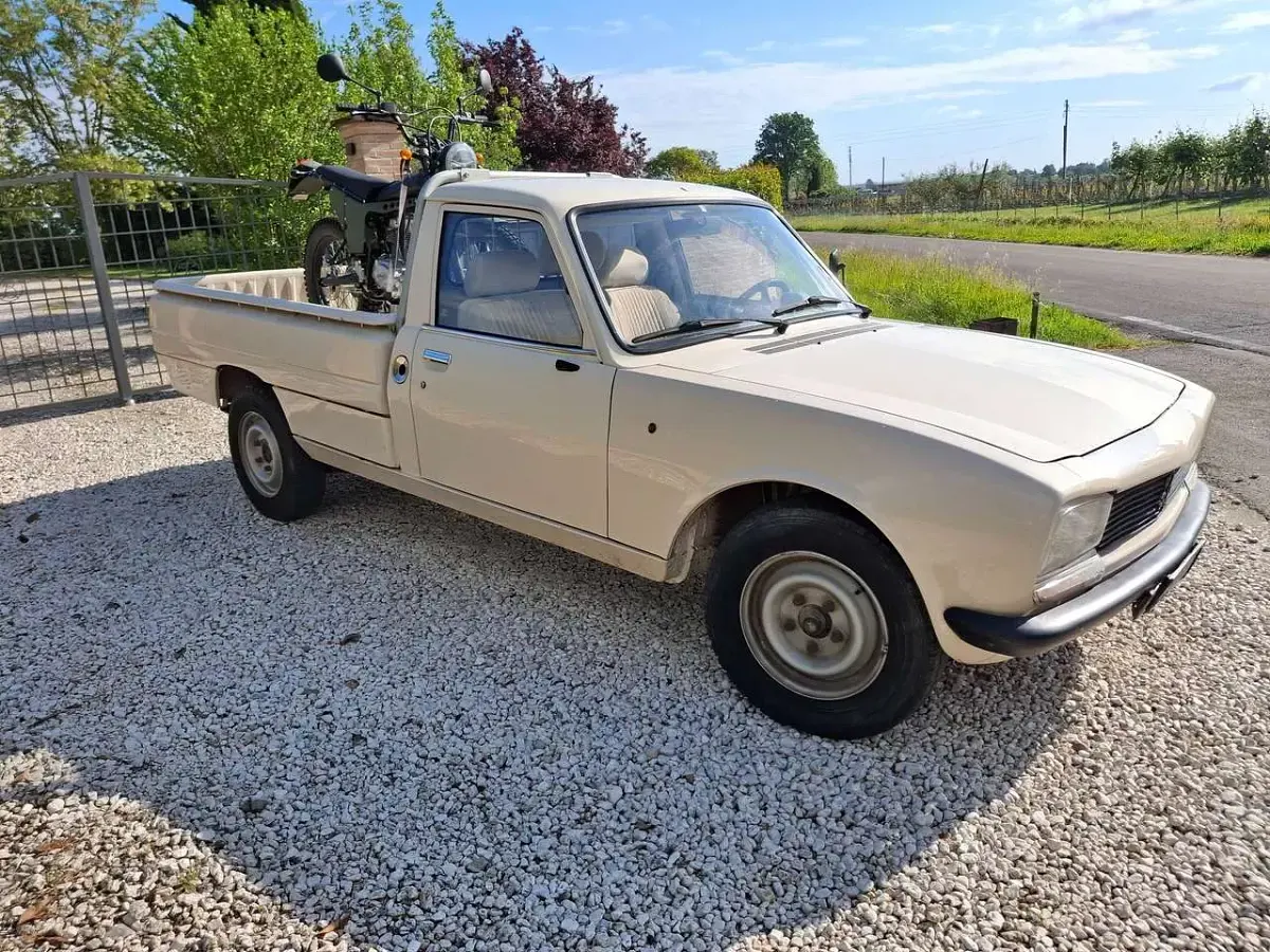 Käytetty Peugeot 504 80 HP (58 kW) 1988 Other Nouto