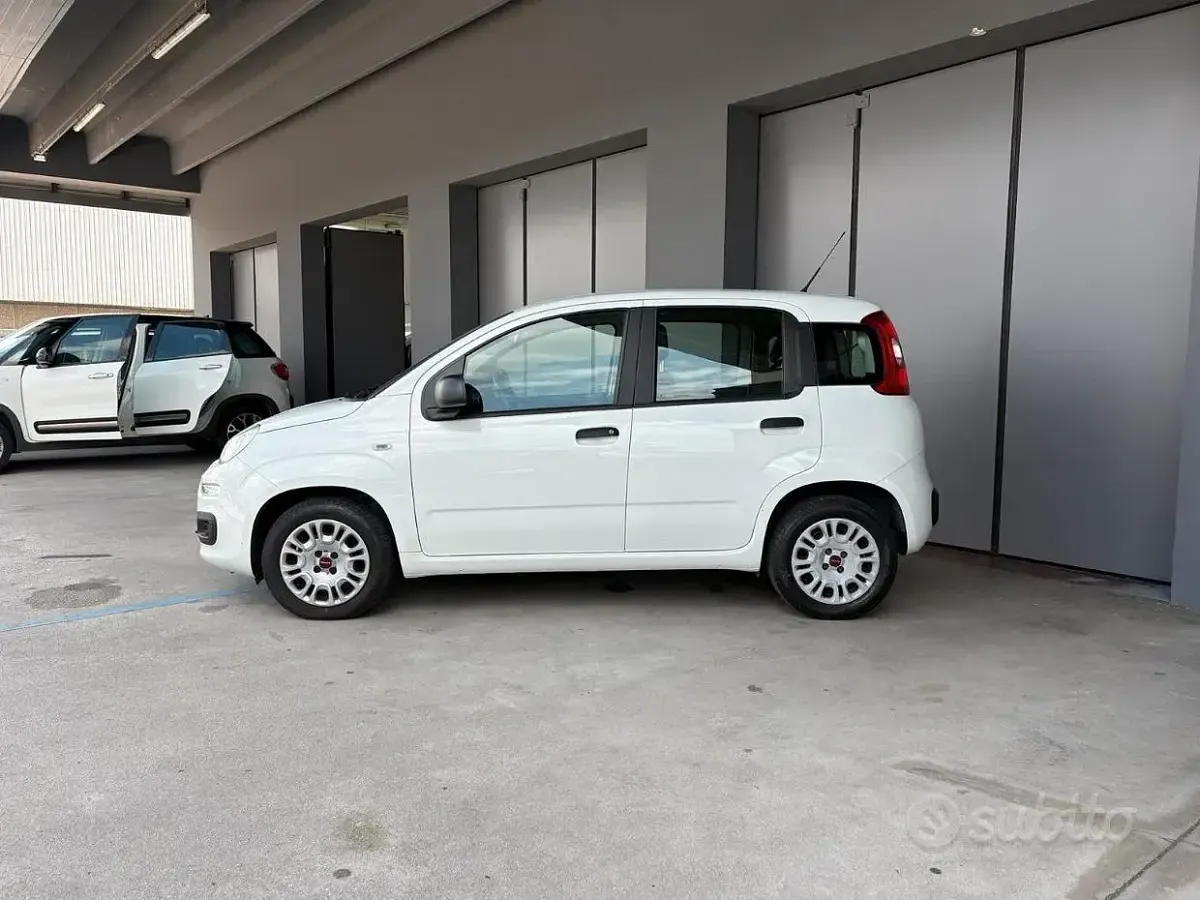 Usata Fiat Panda Easy 69 CV (50 kW) 2018 Bianco Utilitaria