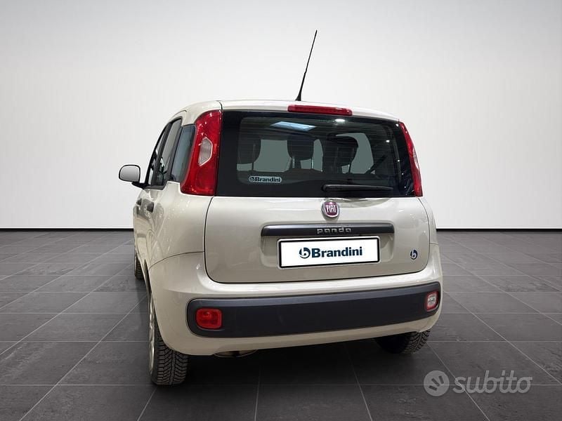 Usata Fiat Panda Easy 69 CV (50 kW) 2017 Bianco Utilitaria