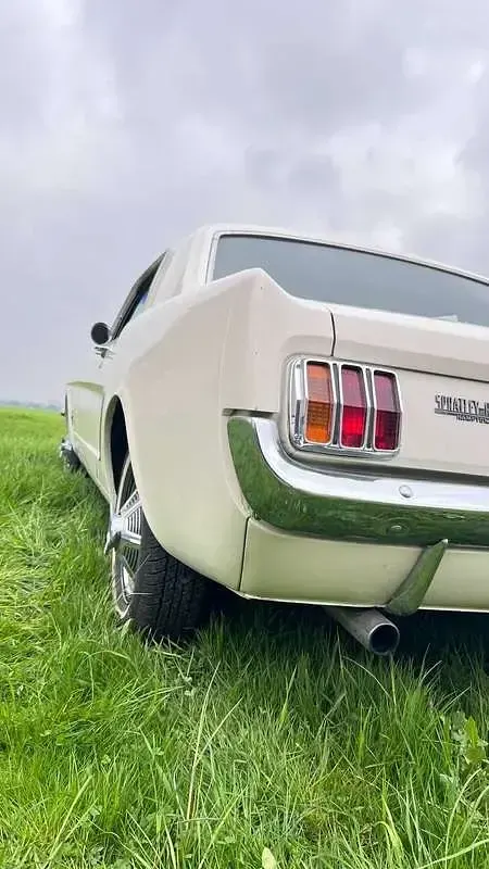 Usata Ford Mustang 166 CV (122 kW) 1964 Bianco Coupé