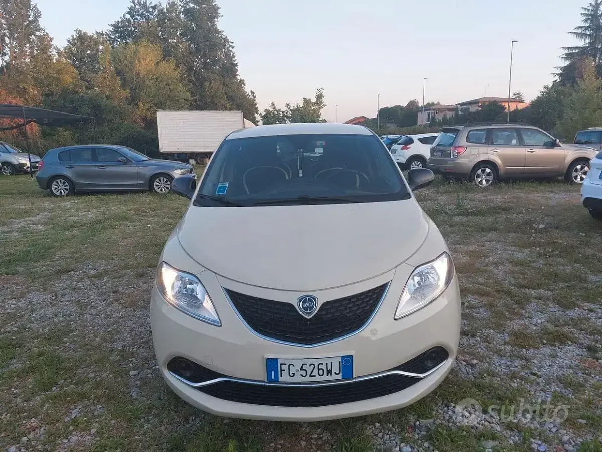 Usata Lancia Ypsilon Platinum 69 CV (50 kW) 2017 Beige Utilitaria