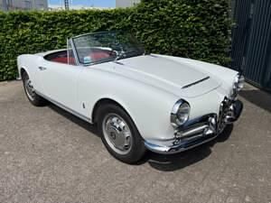 Usata Alfa Romeo Giulia 92 CV (67 kW) 1962 Bianco Berlina