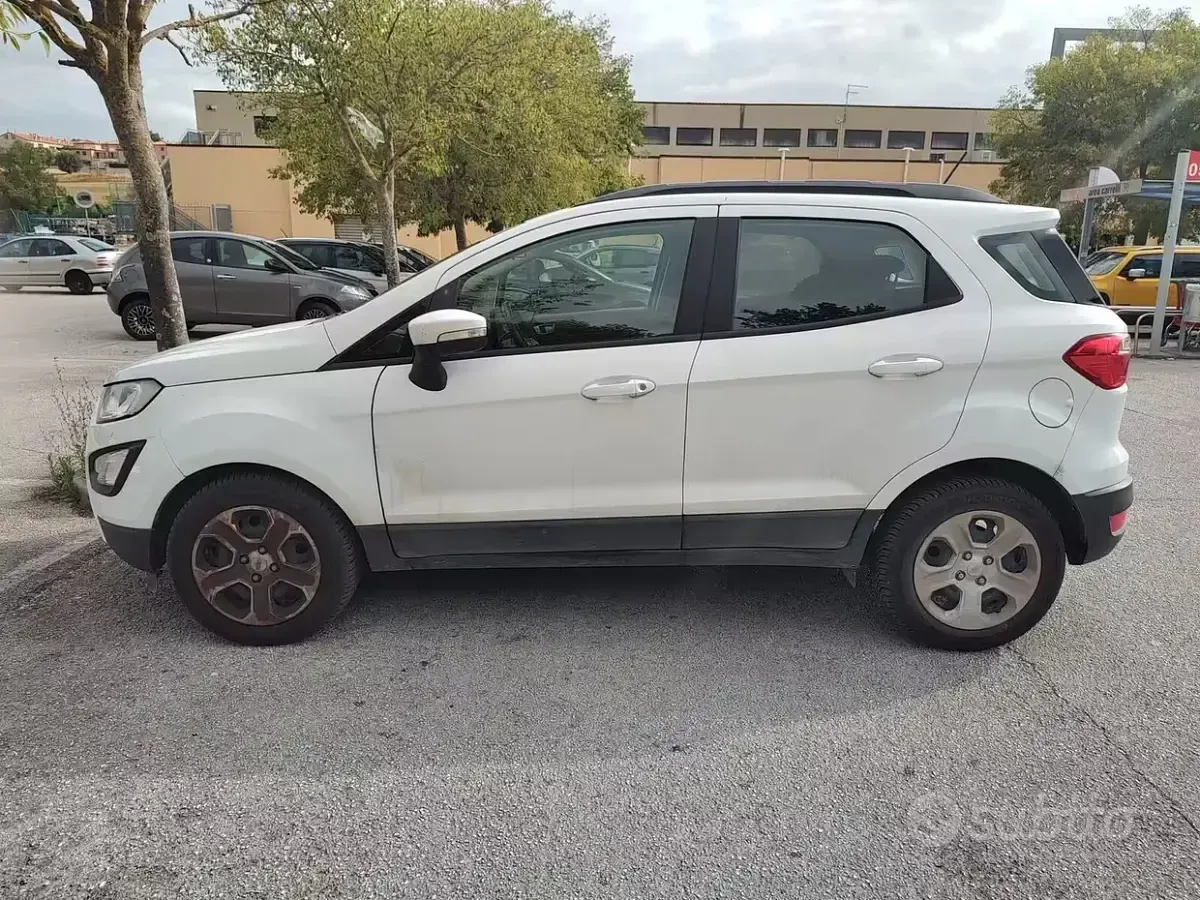 Usata Ford Ecosport 99 CV (72 kW) 2019 Bianco SUV